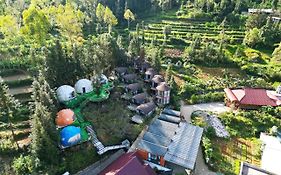 Plum Homestay